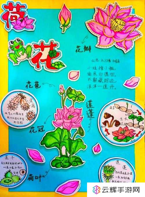 花与剑中的荷花采集技巧，它的演变史中隐藏着哪些不为人知的秘密？