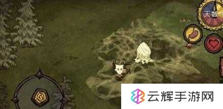 《饥荒新家园》龙蝇打法攻略