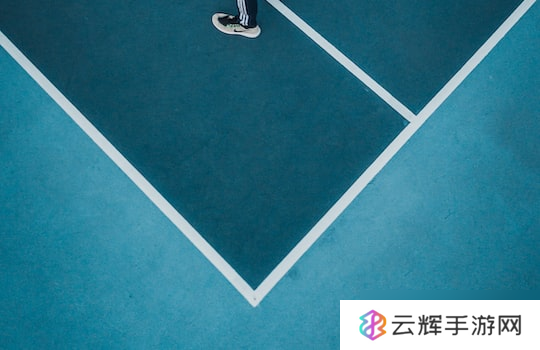 合金烧鸡游戏玩法指南,助你畅玩