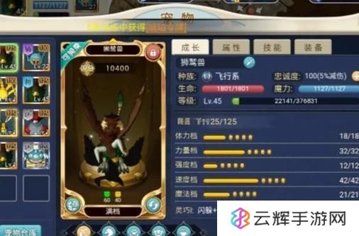 魔力世纪宠物怎么用